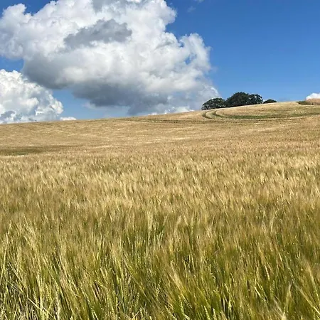 Vakantiehuis Oelboehm - Ostholstein *