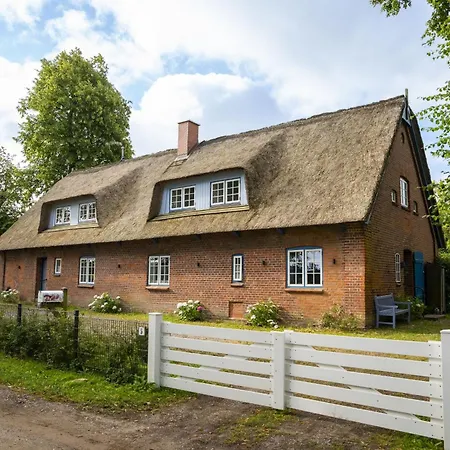Oelboehm - Ostholstein
