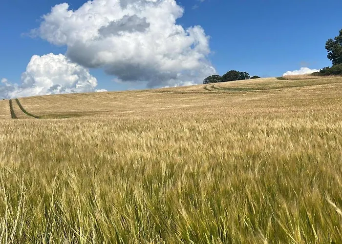 Casa vacanze Oelboehm - Ostholstein *